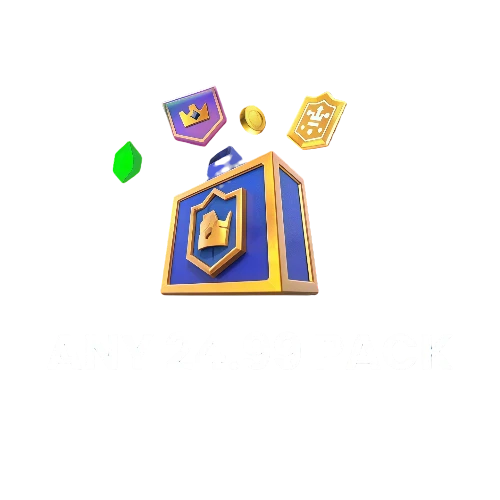 24.99 달러 팩