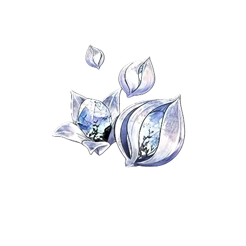 900 Phoenix Plumule