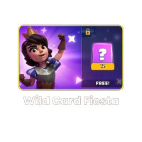 Wild Card Fiesta