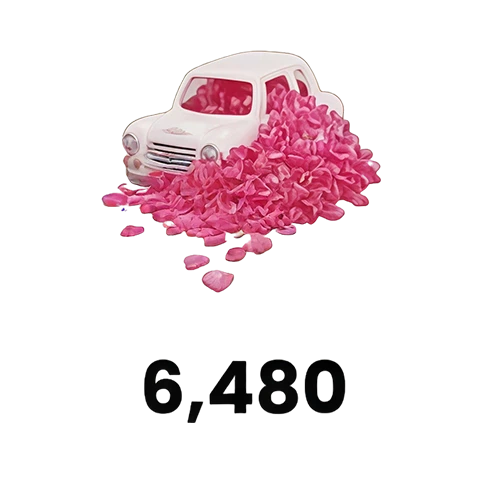 6,480 心形鑽石