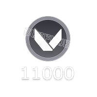 11000 VP