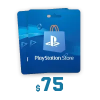 PSN 네트워크 카드 75 USD